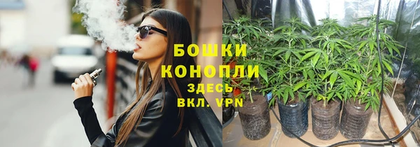 шишки Алексин