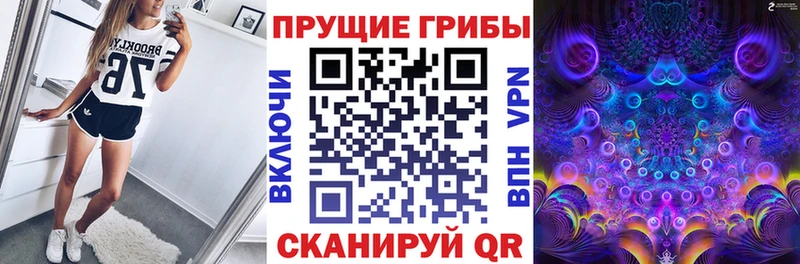 МЕГА зеркало  Конаково  Галлюциногенные грибы Psilocybine cubensis 